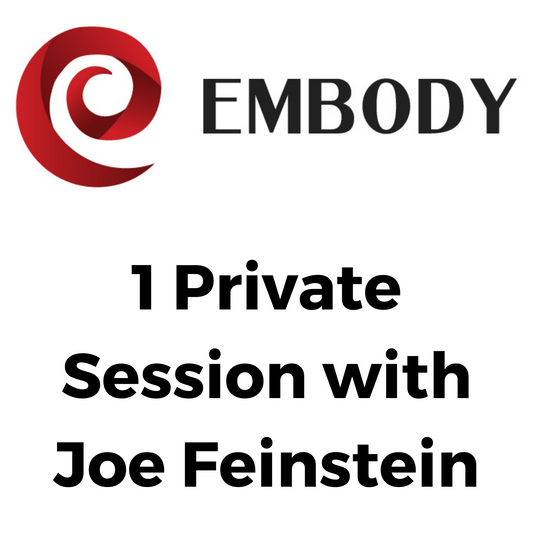 1 Private Consultation w/ Joe Feinstein