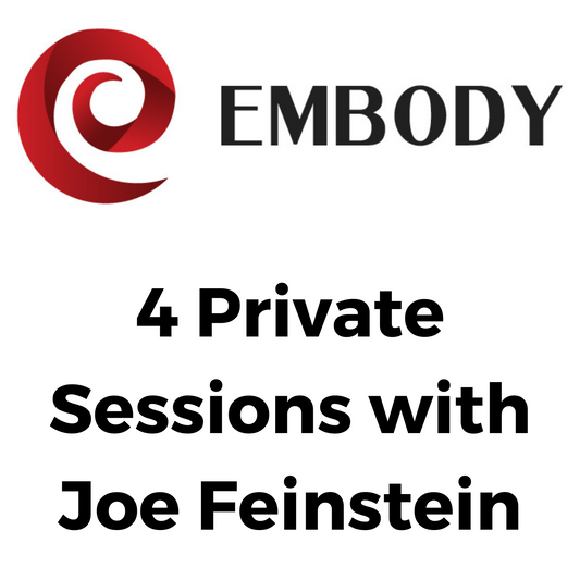 4 Private Consultations w/ Joe Feinstein